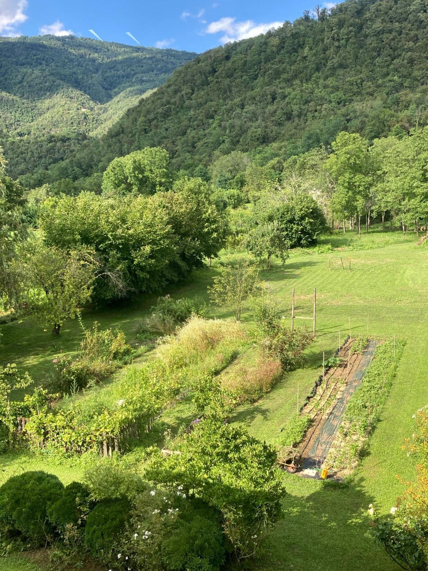 Casa Del Grivo - Alloggio Sole Faedis ภายนอก รูปภาพ