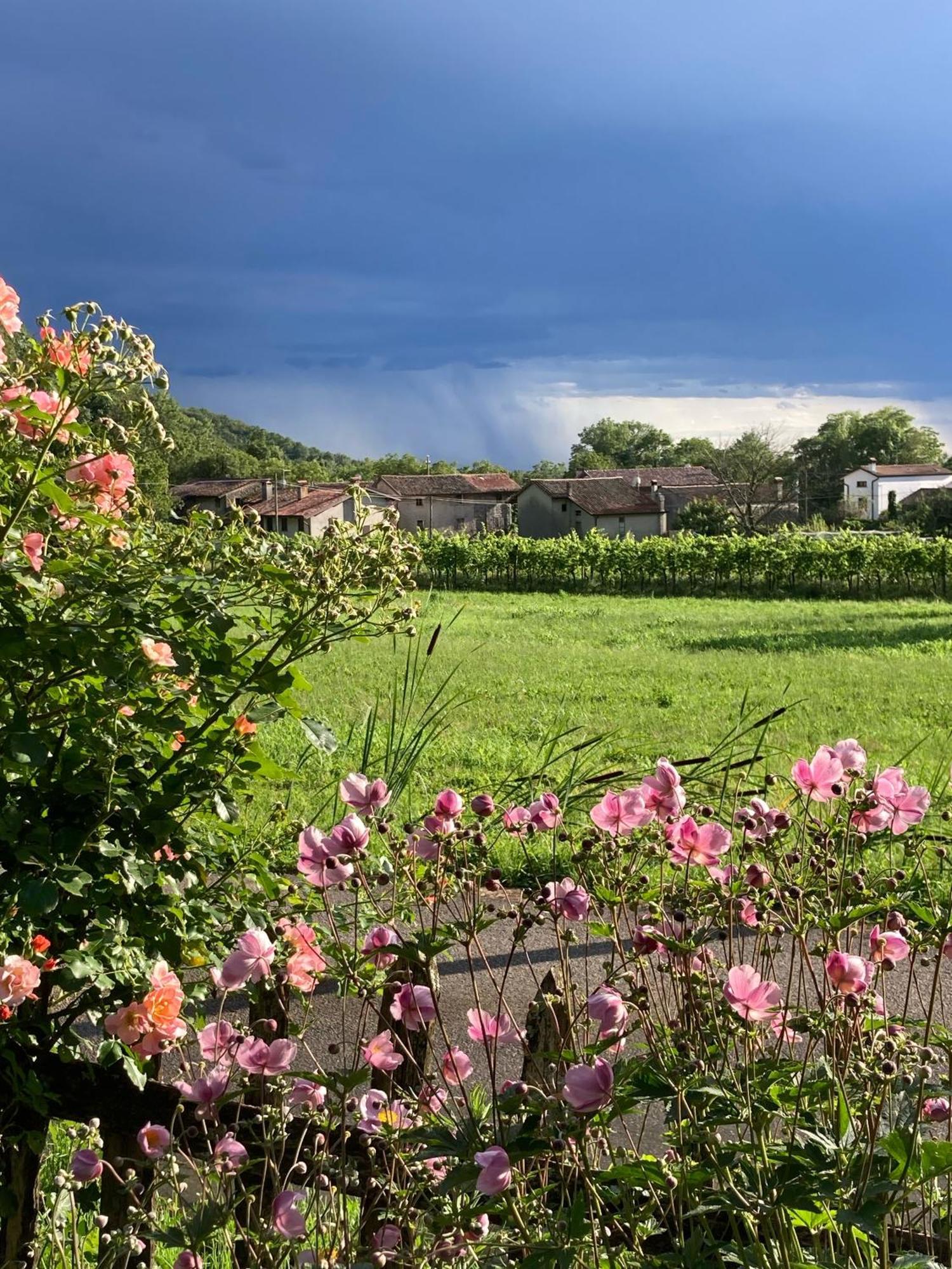 Casa Del Grivo - Alloggio Sole Faedis ภายนอก รูปภาพ