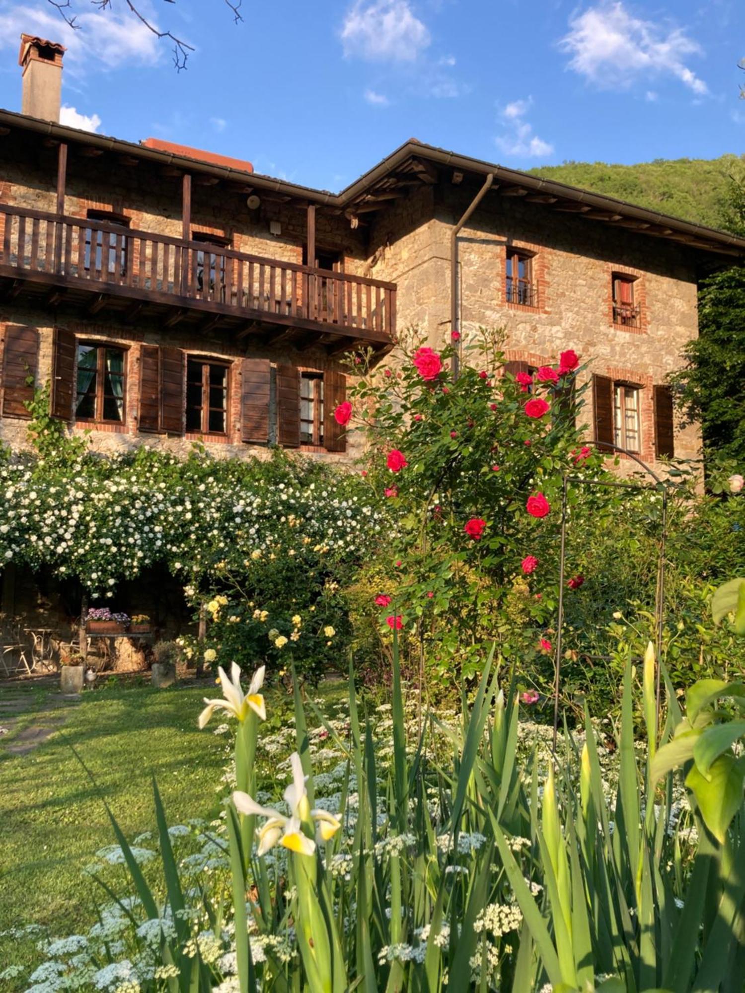 Casa Del Grivo - Alloggio Sole Faedis ภายนอก รูปภาพ